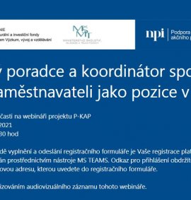 narodni-pedagogicky-institut-porada-zajimavy-webinar-s-dobrou-praxi/Webinář_PKAP.JPG